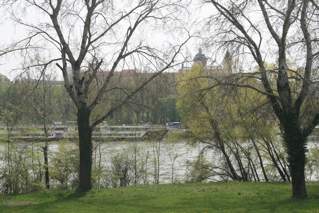 Gaestehaus Egger Emmersdorf an der Donau Esterno foto