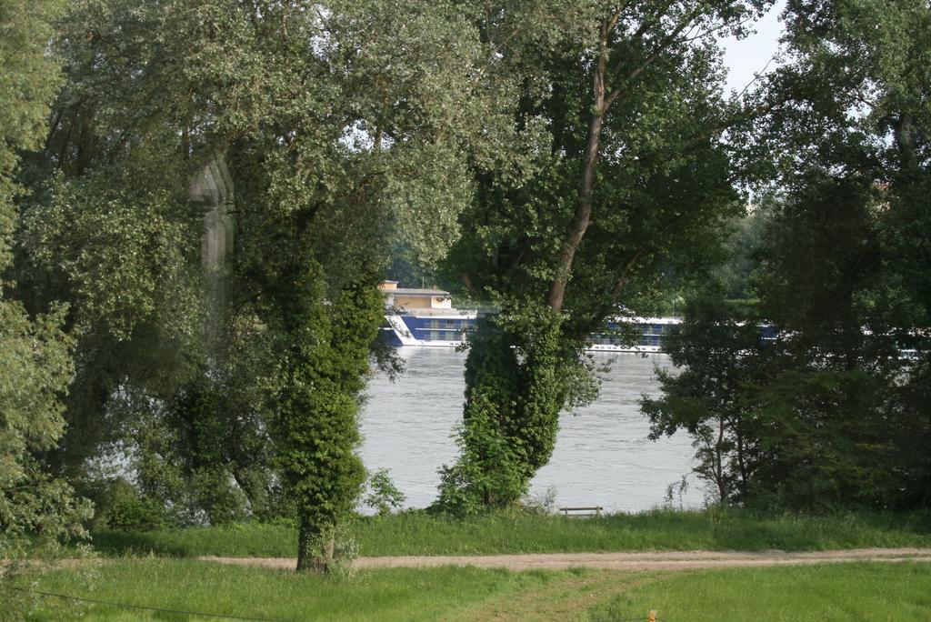 Gaestehaus Egger Emmersdorf an der Donau Esterno foto